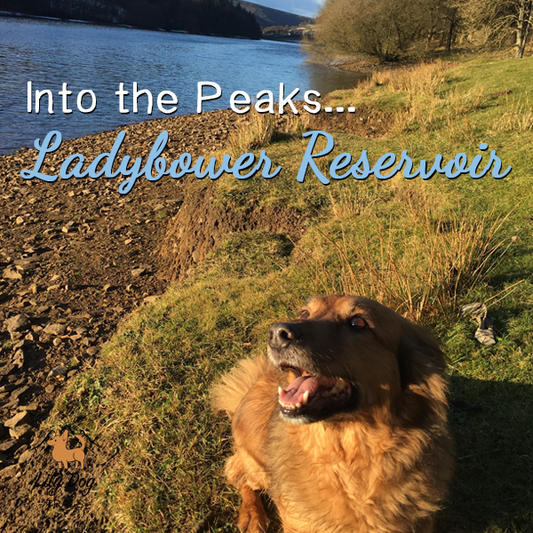 Into the Peaks - Ladybower Reservoir