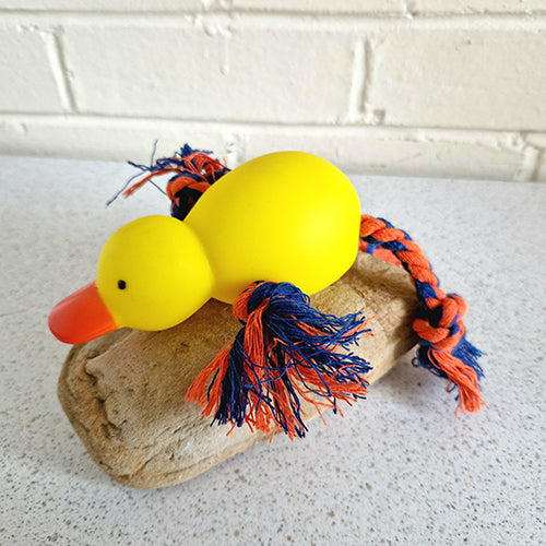 Duck Rope Dog Toy