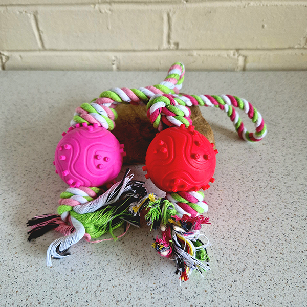 Ball Rope Dog Toy