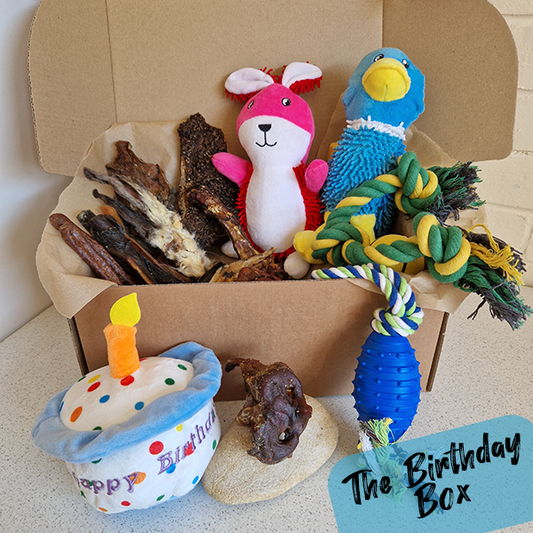 The Birthday Box for Dogs