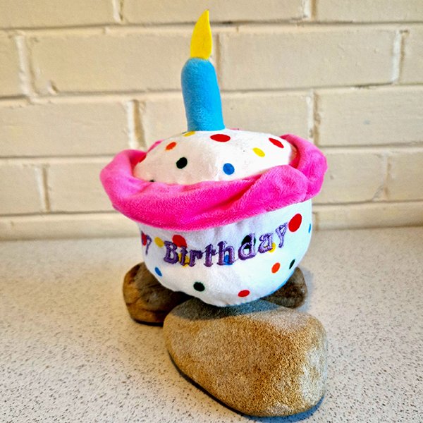 Happy Birthday Cupcake Dog Toy