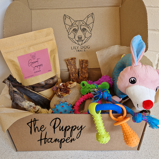 The Puppy Hamper - Natural Enrichment Box