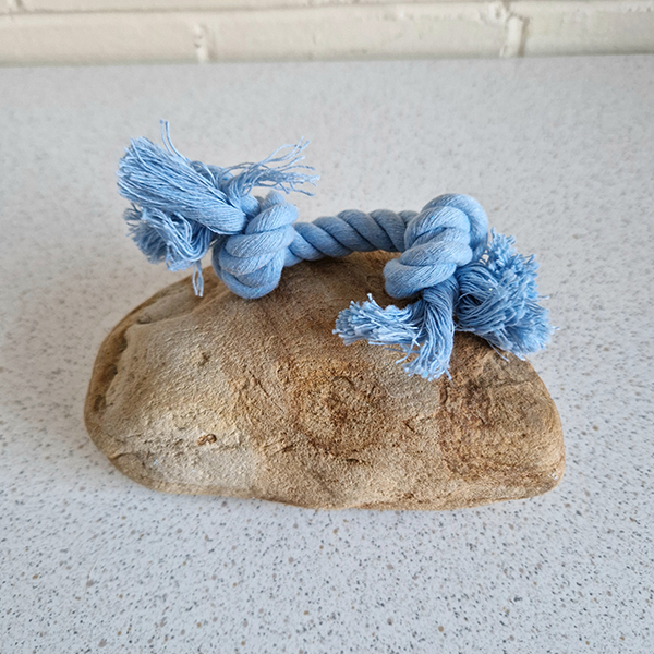 Puppy Rope Toy