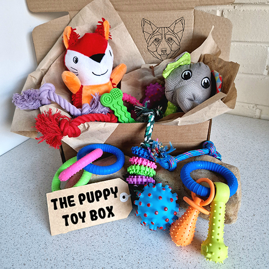 The Puppy Toy Box