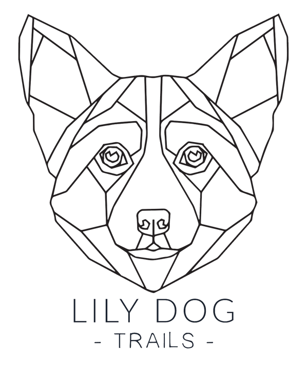 Lily Dog Trails
