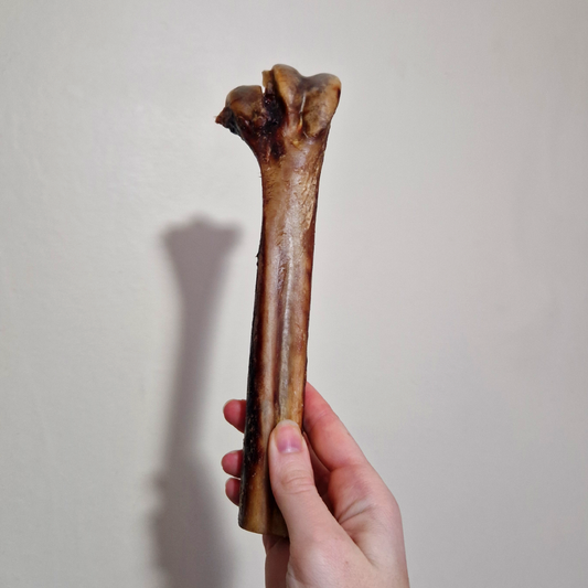 Ostrich Bones