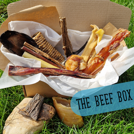 The Beef Box - Natural Enrichment Box
