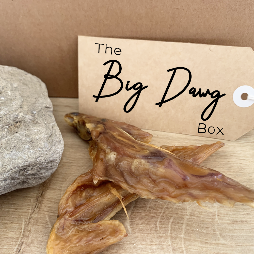 The Big Dawg Box - Large Dog Natural Chew Box