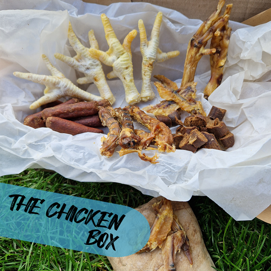 The Chicken Box - Natural Enrichment Box
