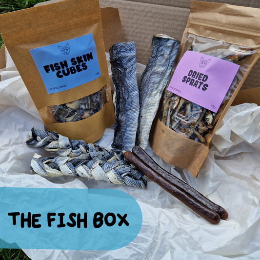 The Fish Box - Natural Enrichment Box
