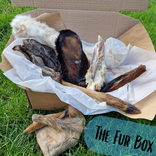 The Fur Box - Natural Enrichment Box