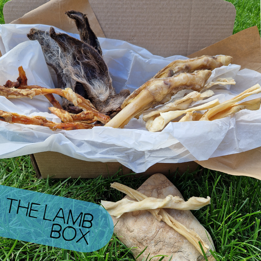 The Lamb Box - Natural Enrichment Box
