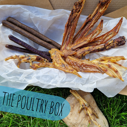 The Poultry Box - Natural Enrichment Box