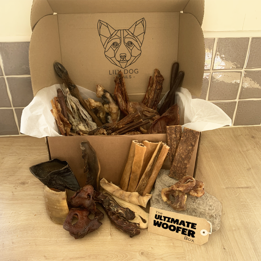 The Ultimate Woofer Box - Largest Natural Chew Box