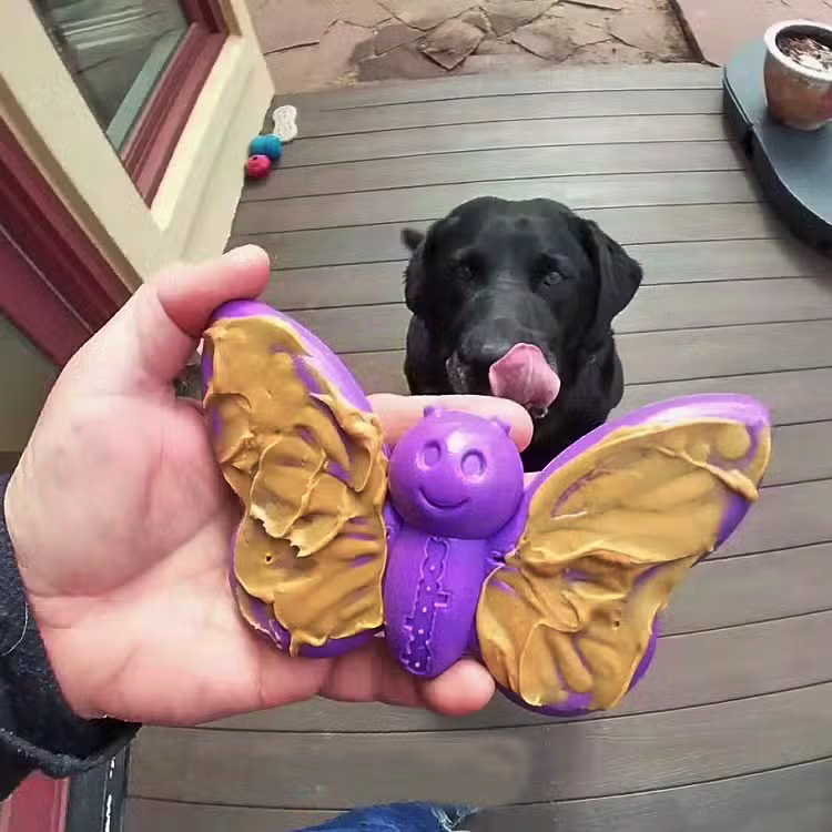 Butterfly Nylon Chew & Enrichment Toy - SodaPup