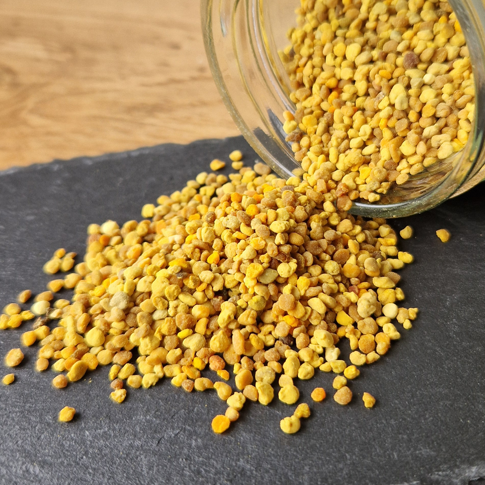 Bee Pollen - Natural Supplement for Dogs