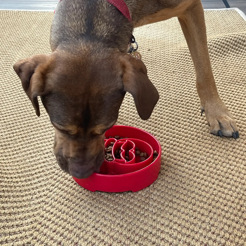 Santa eBowl Enrichment Slow Feeder Bowl - SodaPup