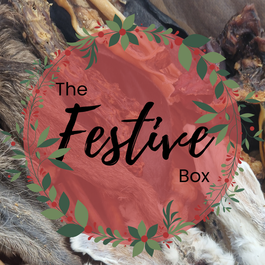 The Festive Box - Christmas Special Edition Treat Box for Dogs