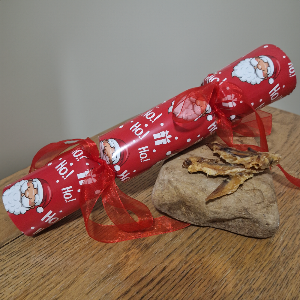 Doggy Christmas Cracker