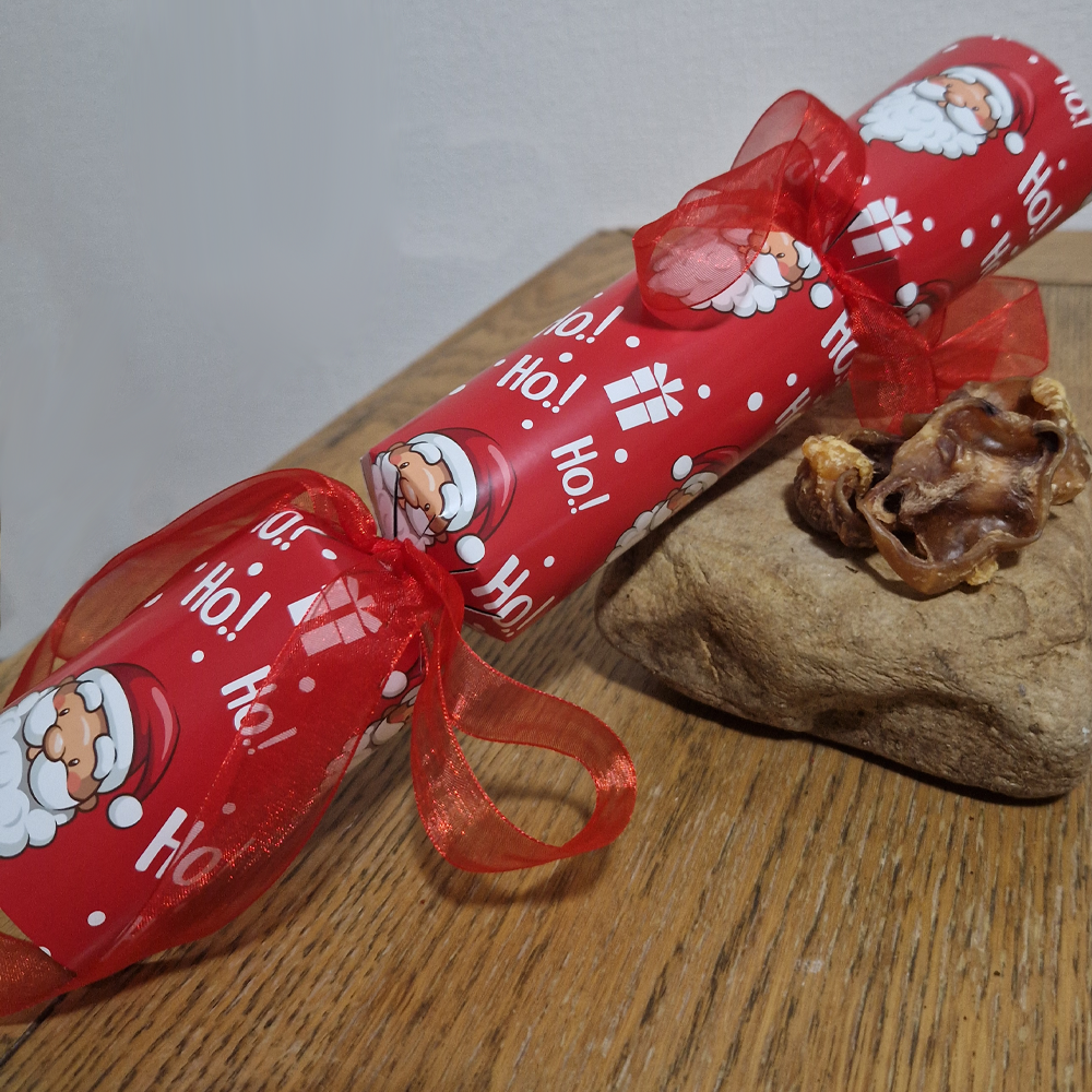 Doggy Christmas Cracker