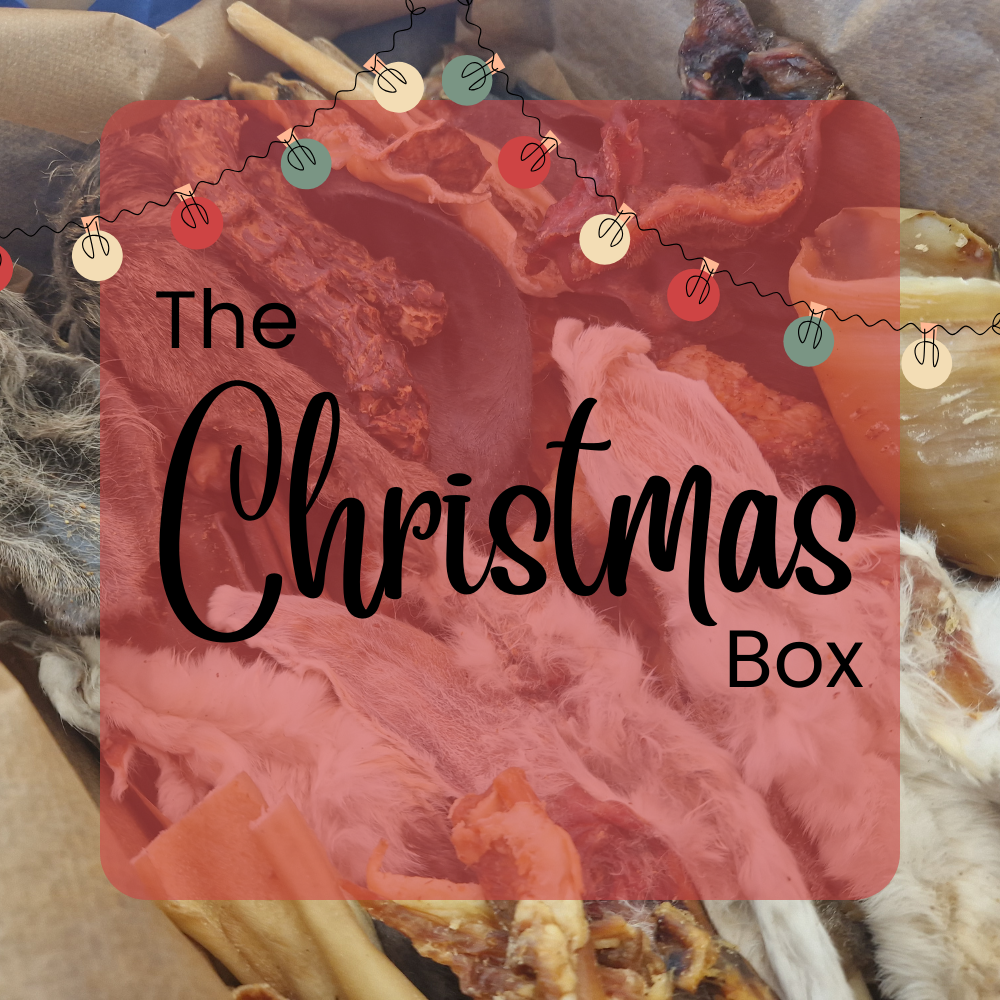 The Christmas Box - Natural Enrichment for Dogs